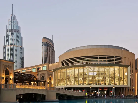 Dubai Mall: A Shopper’s Paradise